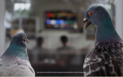 DirectTV No Squirrel
